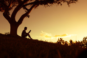 生物能对外界刺激作出反应