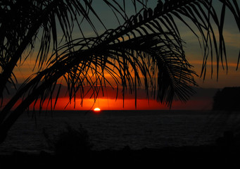 二年级科技创新小制作