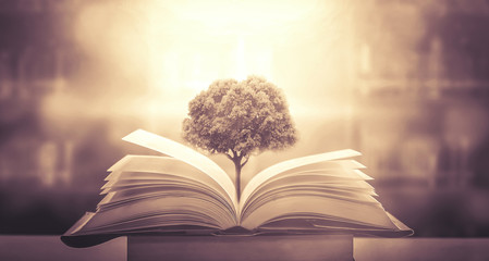 大班体育活动教学反思