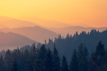 早上心情不好发朋友圈的句子44句