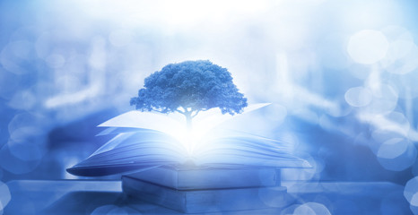 大班体育活动教学反思