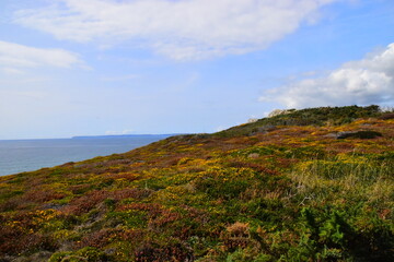 异步电动机的工作特性