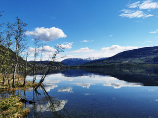 水果脑筋急转弯