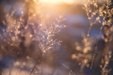 游泳六大注意事项