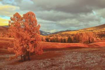 游泳六大注意事项