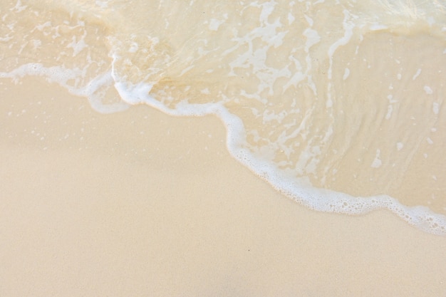 二年级科技创新小制作