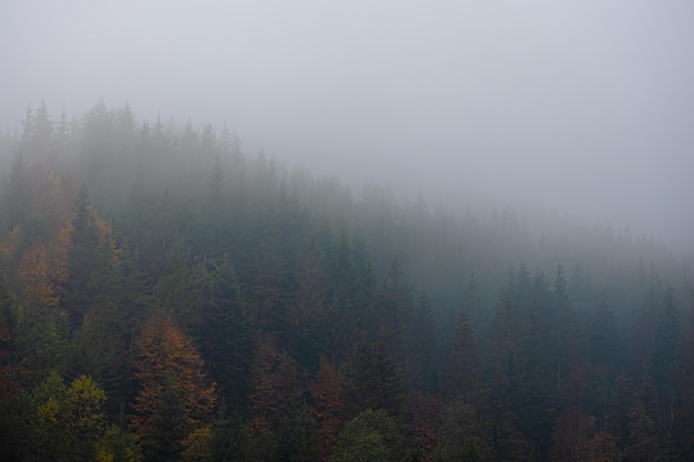 宇宙的未来结局是怎样的？