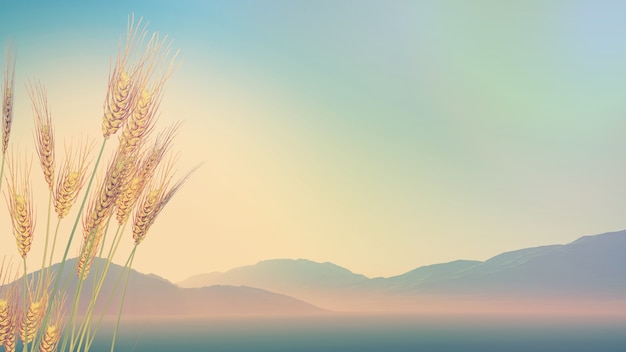 中国人早餐吃什么？