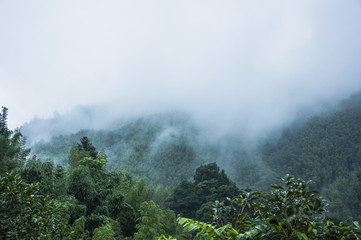 生物能对外界刺激作出反应